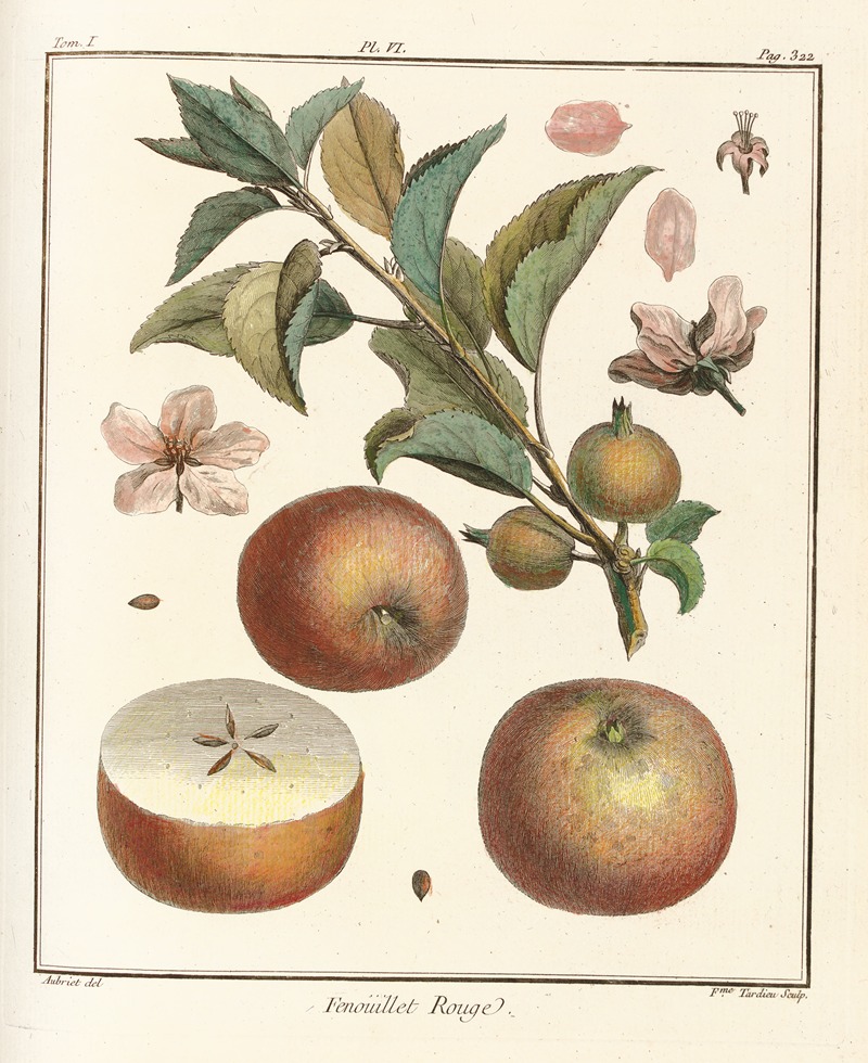 Traité des arbres fruitiers Pl.47 — Henri-Louis Duhamel du Monceau
