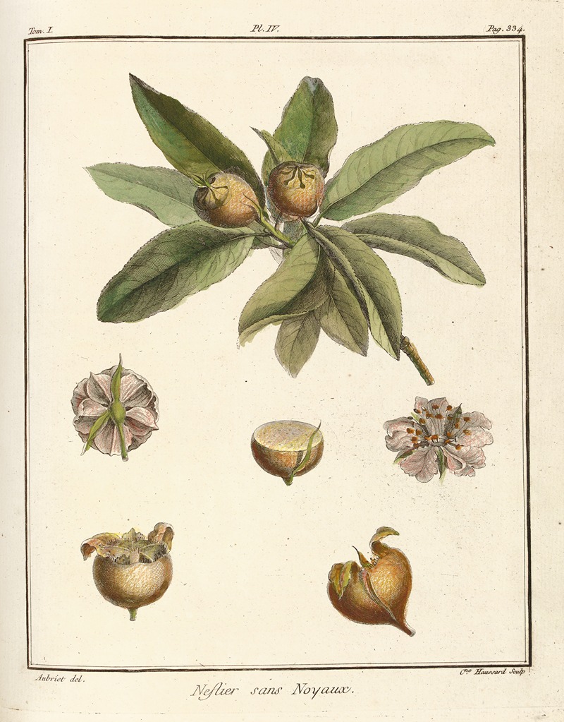 Traité des arbres fruitiers Pl.59 — Henri-Louis Duhamel du Monceau