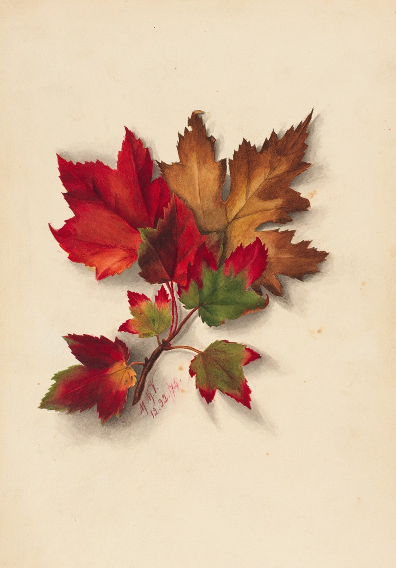 Autumn Leaves 2 by Мэри Вокс Уолкотт, 1874 — digital art print download
