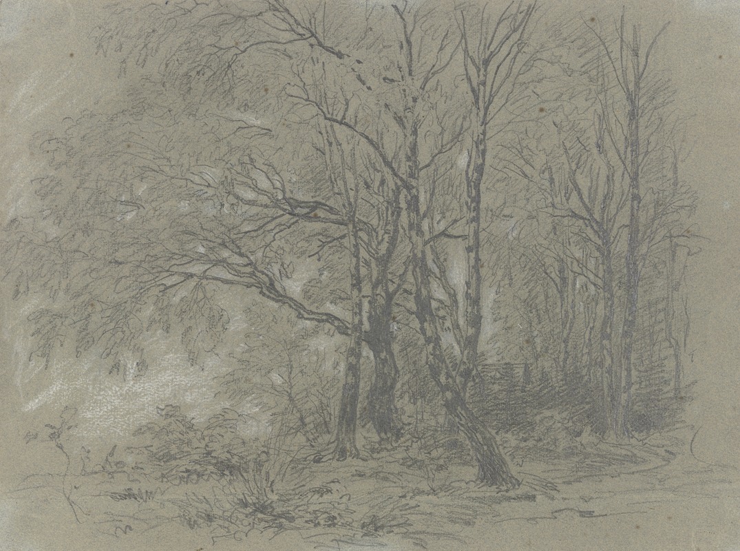 A sapling birch grove by Якоб Маурер — digital art print download