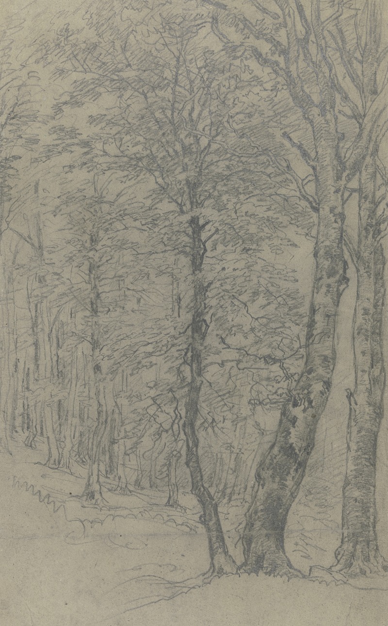 Group of trees 2 by Якоб Маурер — digital art print download
