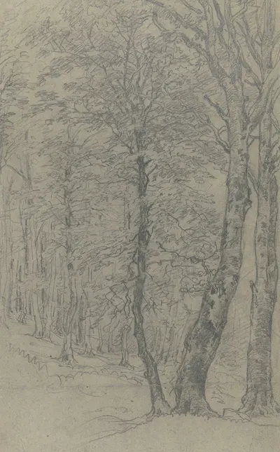 Group of trees 2 by Якоб Маурер — digital art print download