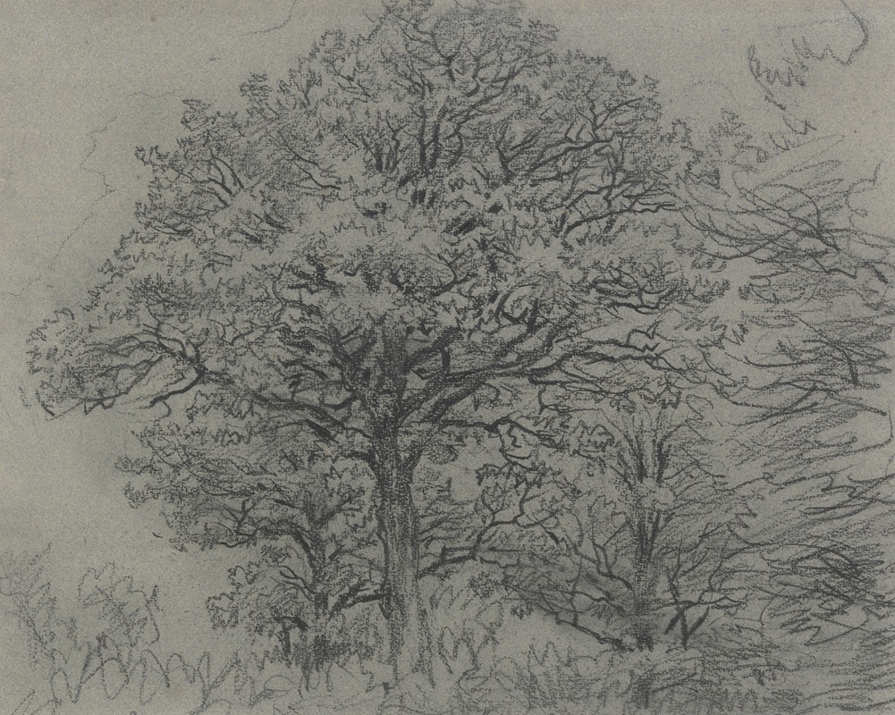 Group of trees by Якоб Маурер — digital art print download
