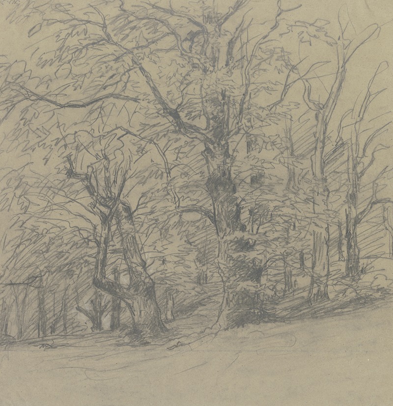 Trees at the edge of the forest — Jakob Maurer