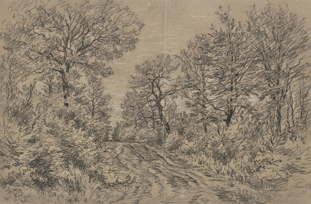 Waldpartie mit einem Fahrweg — Jakob Maurer