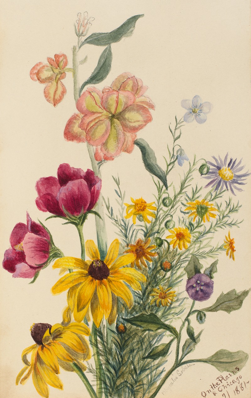 Group of Flowers by Мэри Вокс Уолкотт, 1881 — digital art print download