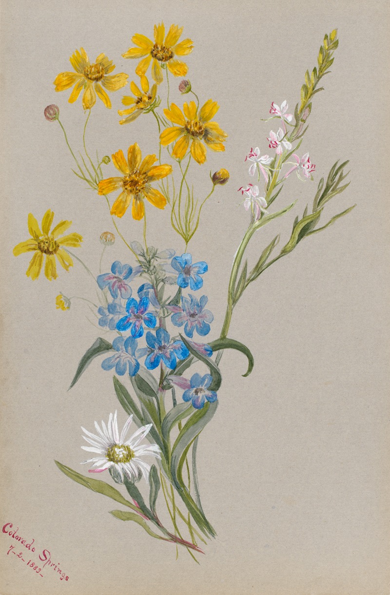 Group of Flowers by Мэри Вокс Уолкотт, 1883 — digital art print download