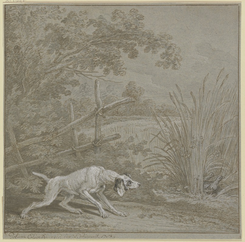 Vorsteherhund auf Rebhühner by Johann Elias Ridinger, 1758 — digital art print download