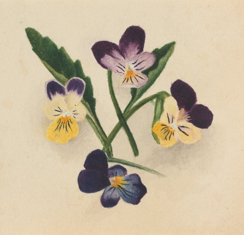 Pansies by Мэри Вокс Уолкотт, 1874 — digital art print download