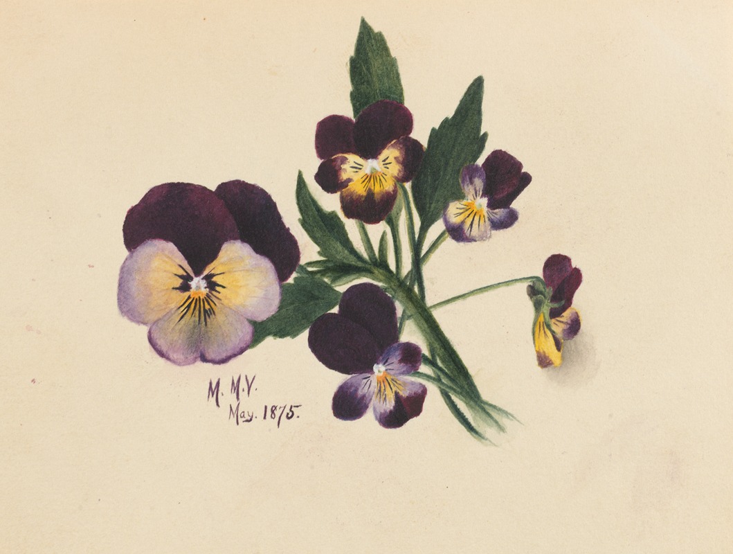 Pansies by Мэри Вокс Уолкотт, 1875 — digital art print download