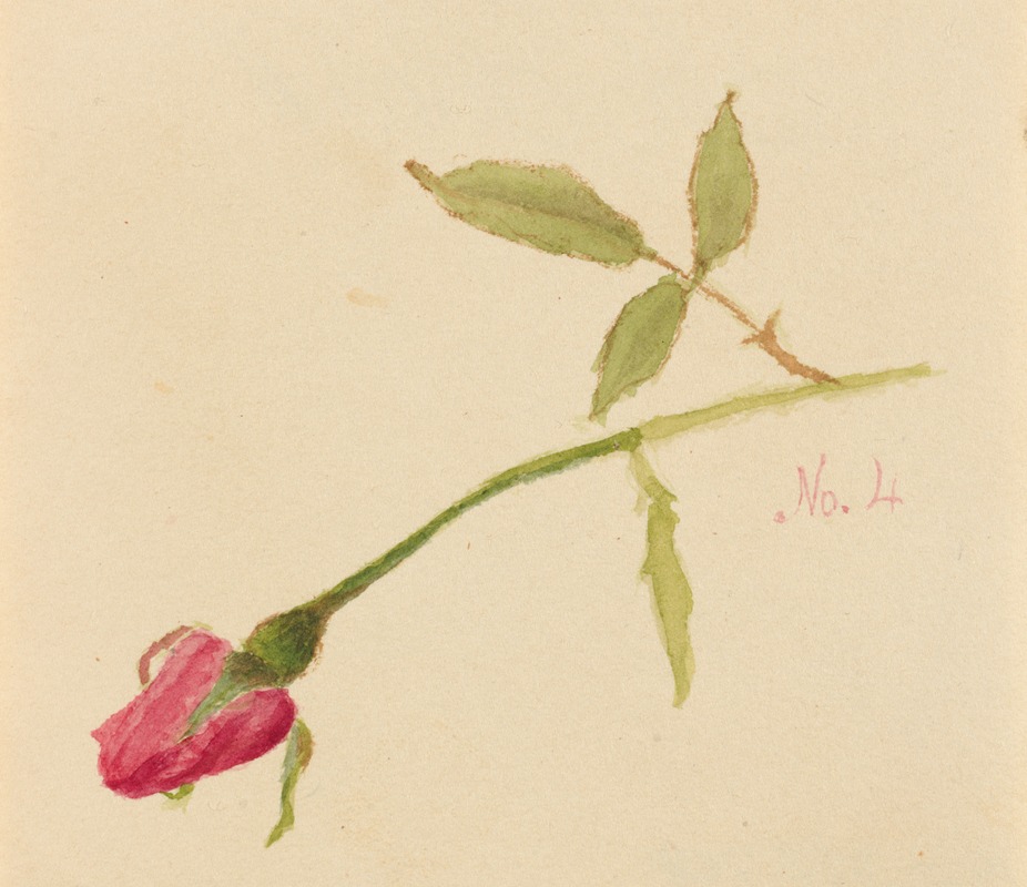 Rose by Мэри Вокс Уолкотт, 1872 — digital art print download