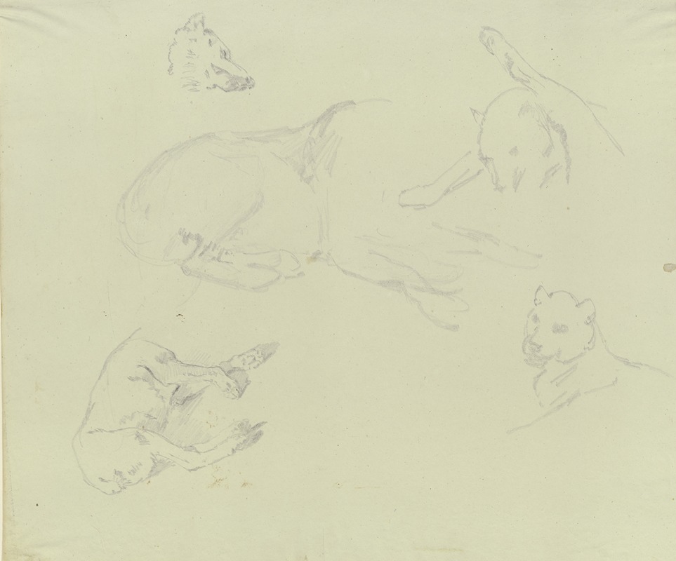 Lions and wolves by Johann Nepomuk Rauch — digital art print download
