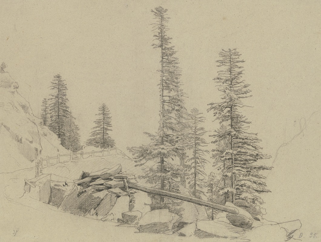 Spruce trees at the Via Mala by Иоганн Вильгельм Ширмер — digital art print download