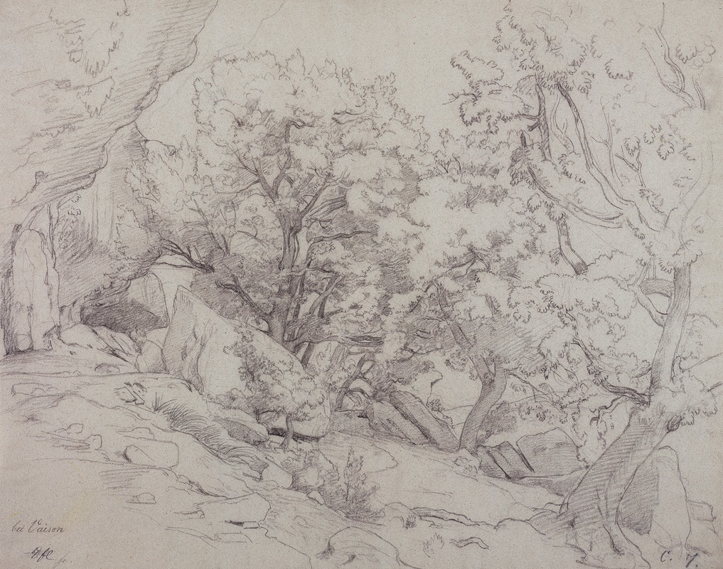 Waldstück bei Vaison-la-Romaine by Иоганн Вильгельм Ширмер, 1851 — digital art print download