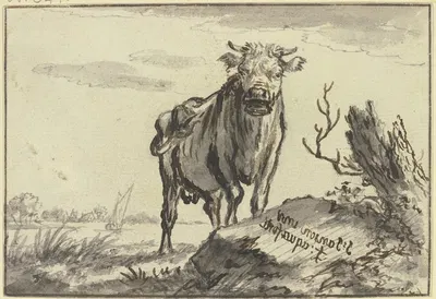 Ein Stier von vorne gesehen bei einem Baumstamm by Иоганнес Янсон — digital art print download