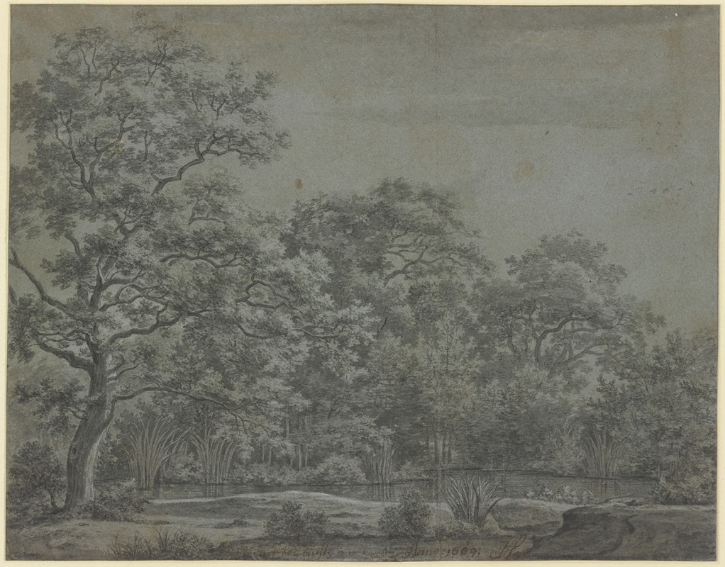 A pond in the forest by Йорис ван дер Хааген, 1669 — digital art print download
