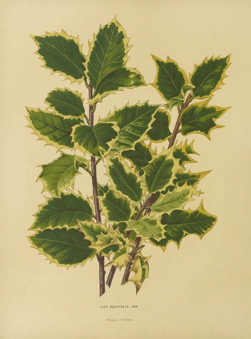Nederlandsche flora en pomona Pl.18 — Abraham Jacobus Wendel