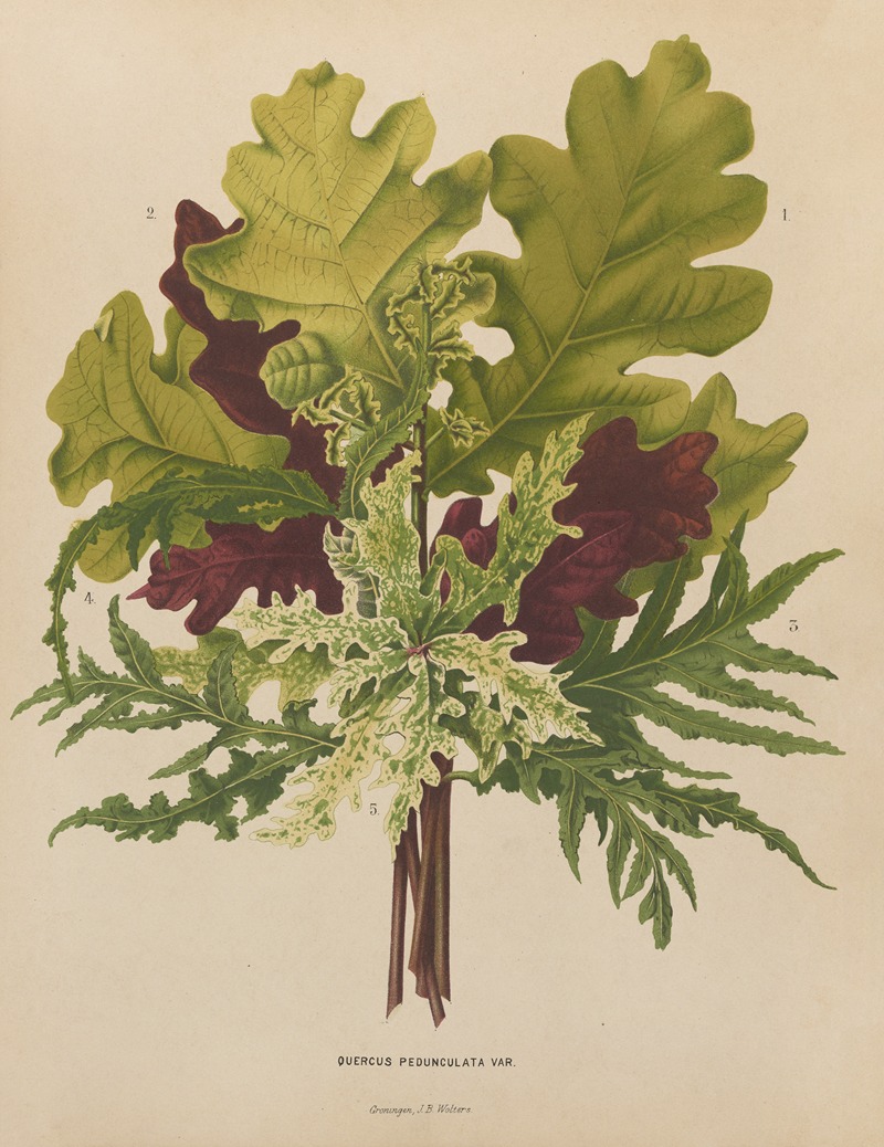 Nederlandsche flora en pomona Pl.42 — Abraham Jacobus Wendel