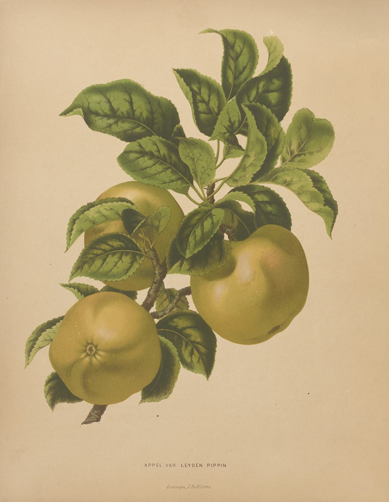 Nederlandsche flora en pomona Pl.67 — Abraham Jacobus Wendel