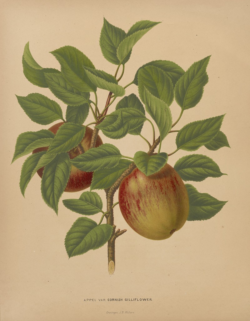 Nederlandsche flora en pomona Pl.75 — Abraham Jacobus Wendel