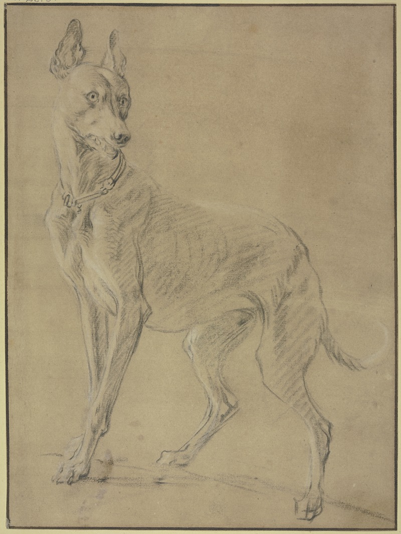 Greyhound to the left by Ян Вейникс — digital art print download