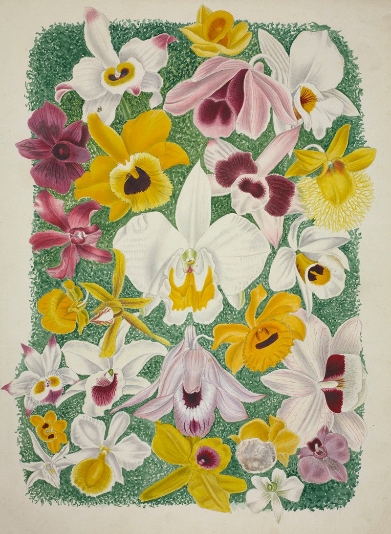 Mon Jardin a Ceylan Pl.002 by George De Alwis, 1896 — digital art print download