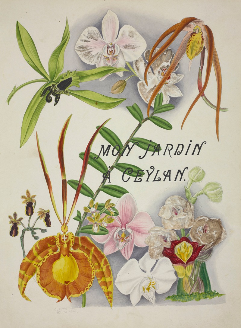 Mon Jardin a Ceylan Pl.003 by George De Alwis, 1896 — digital art print download