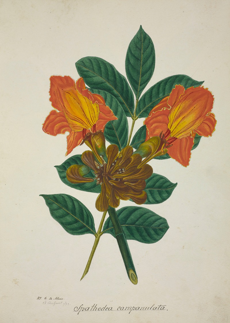 Mon Jardin a Ceylan Pl.005 by George De Alwis, 1896 — digital art print download