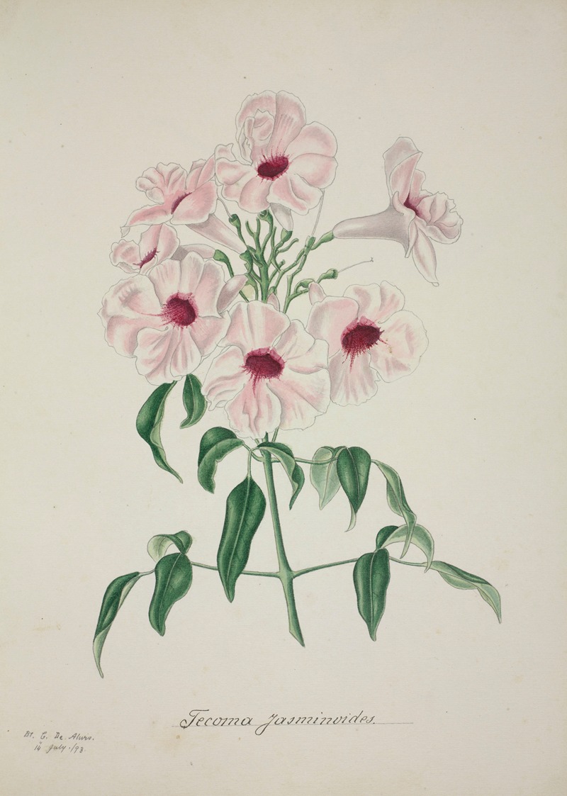 Mon Jardin a Ceylan Pl.013 by George De Alwis, 1896 — digital art print download