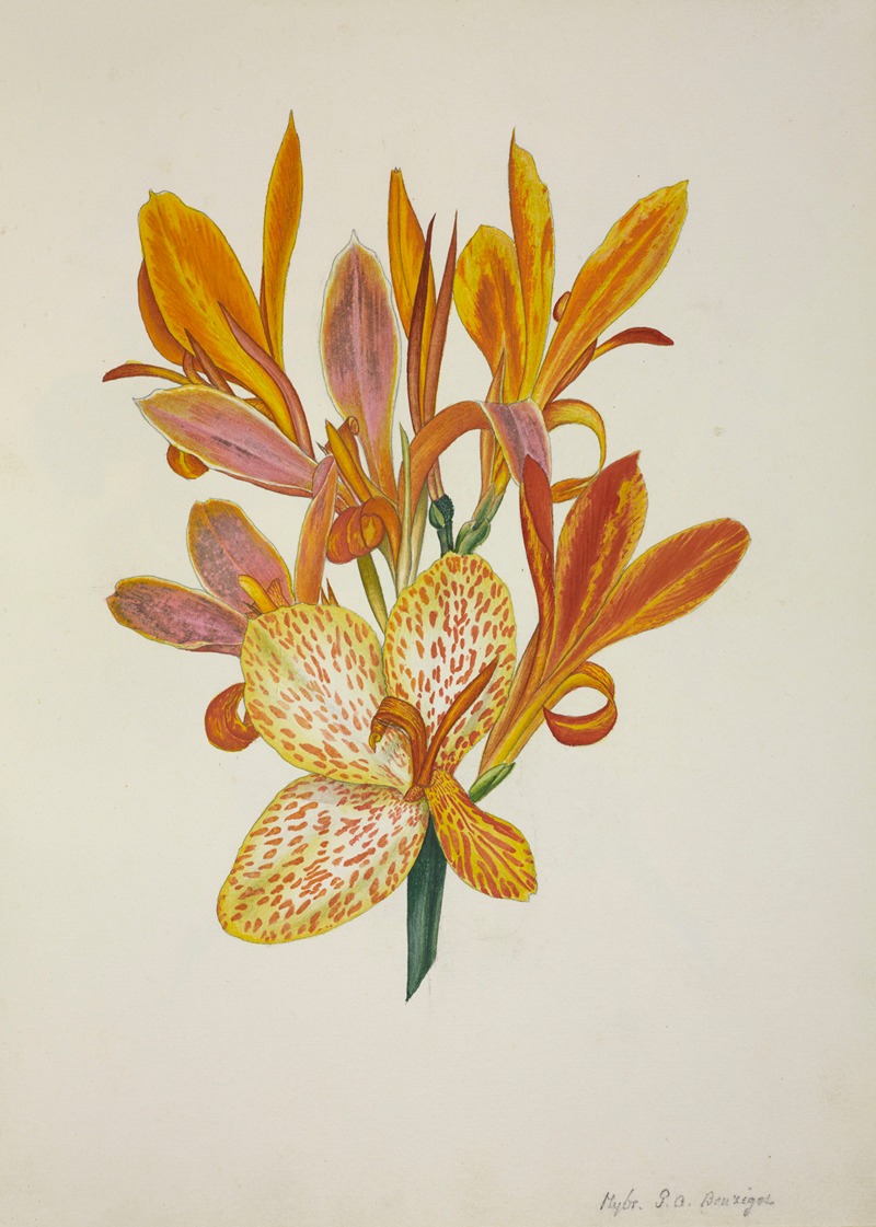 Mon Jardin a Ceylan Pl.050 by George De Alwis, 1896 — digital art print download