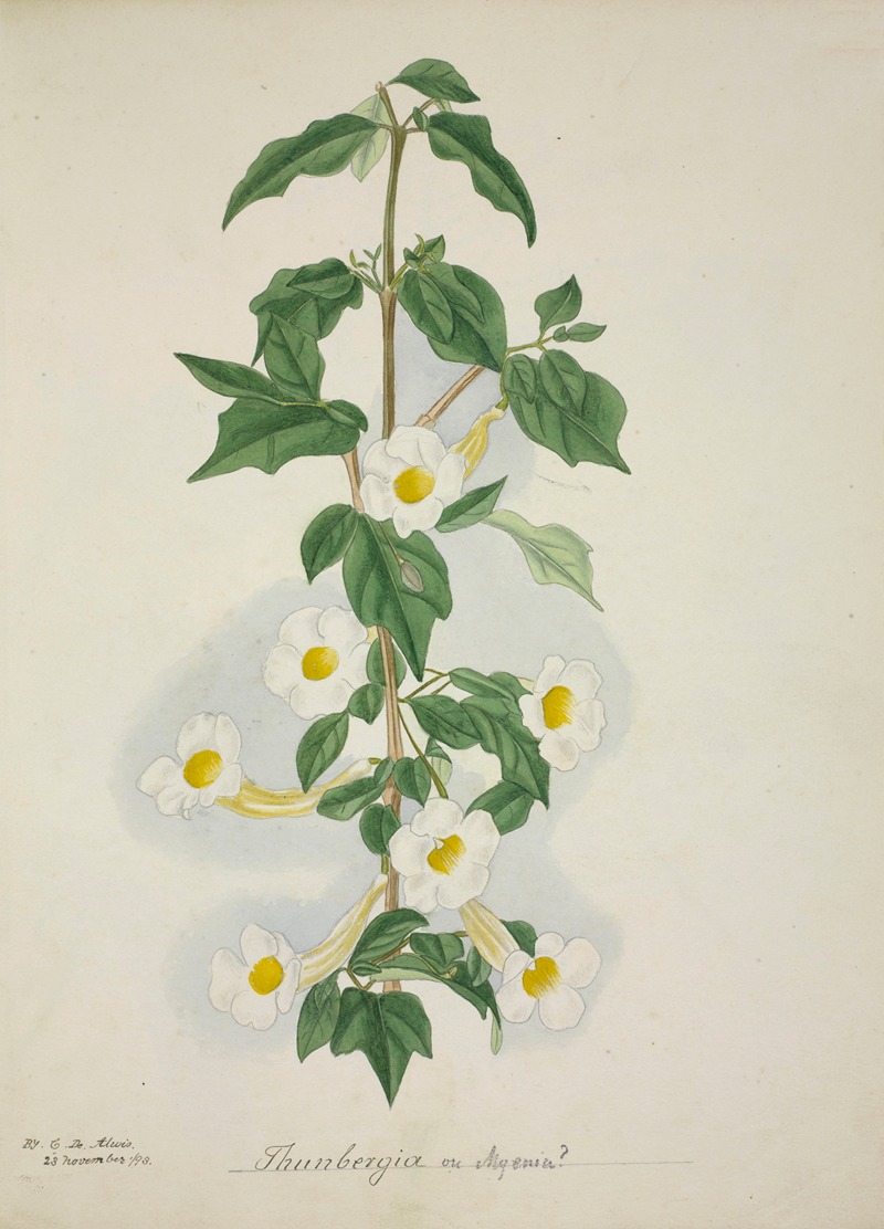 Mon Jardin a Ceylan Pl.055 by George De Alwis, 1896 — digital art print download