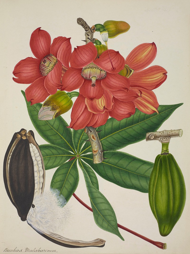 Mon Jardin a Ceylan Pl.113 by George De Alwis, 1896 — digital art print download