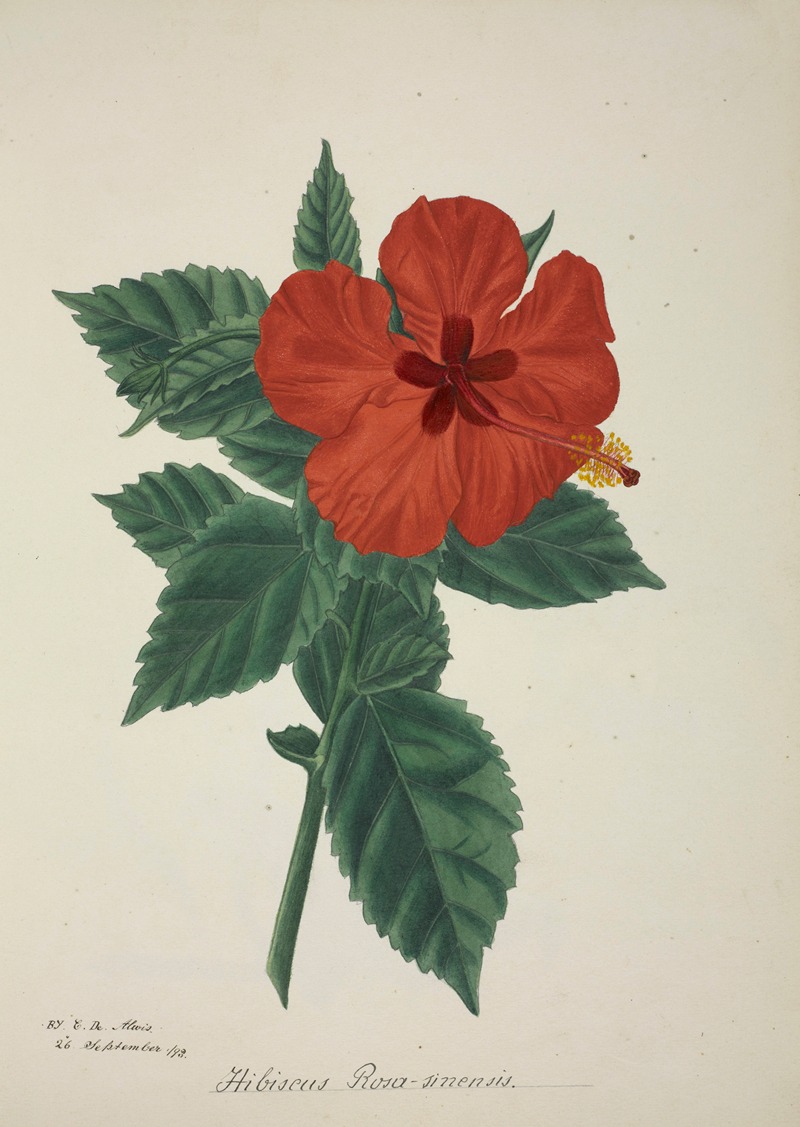 Mon Jardin a Ceylan Pl.158 by George De Alwis, 1896 — digital art print download