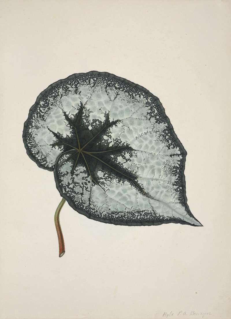 Mon Jardin a Ceylan Pl.168 by George De Alwis, 1896 — digital art print download