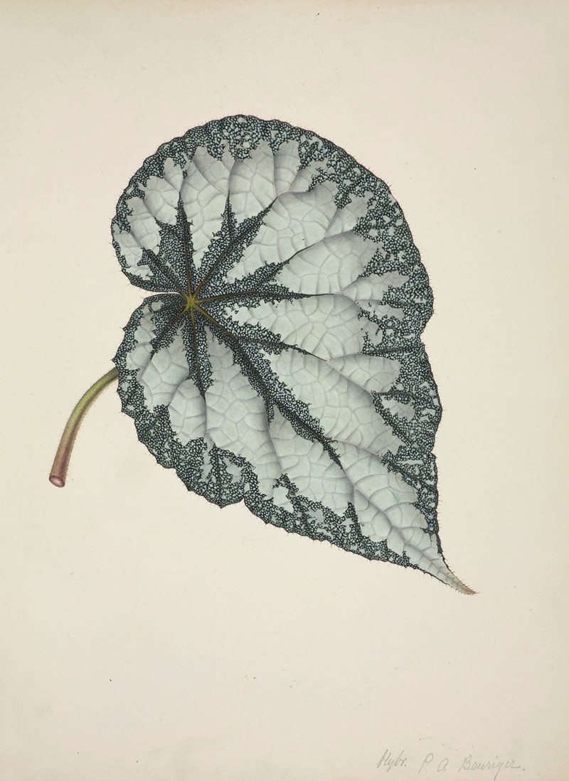 Mon Jardin a Ceylan Pl.177 by George De Alwis, 1896 — digital art print download