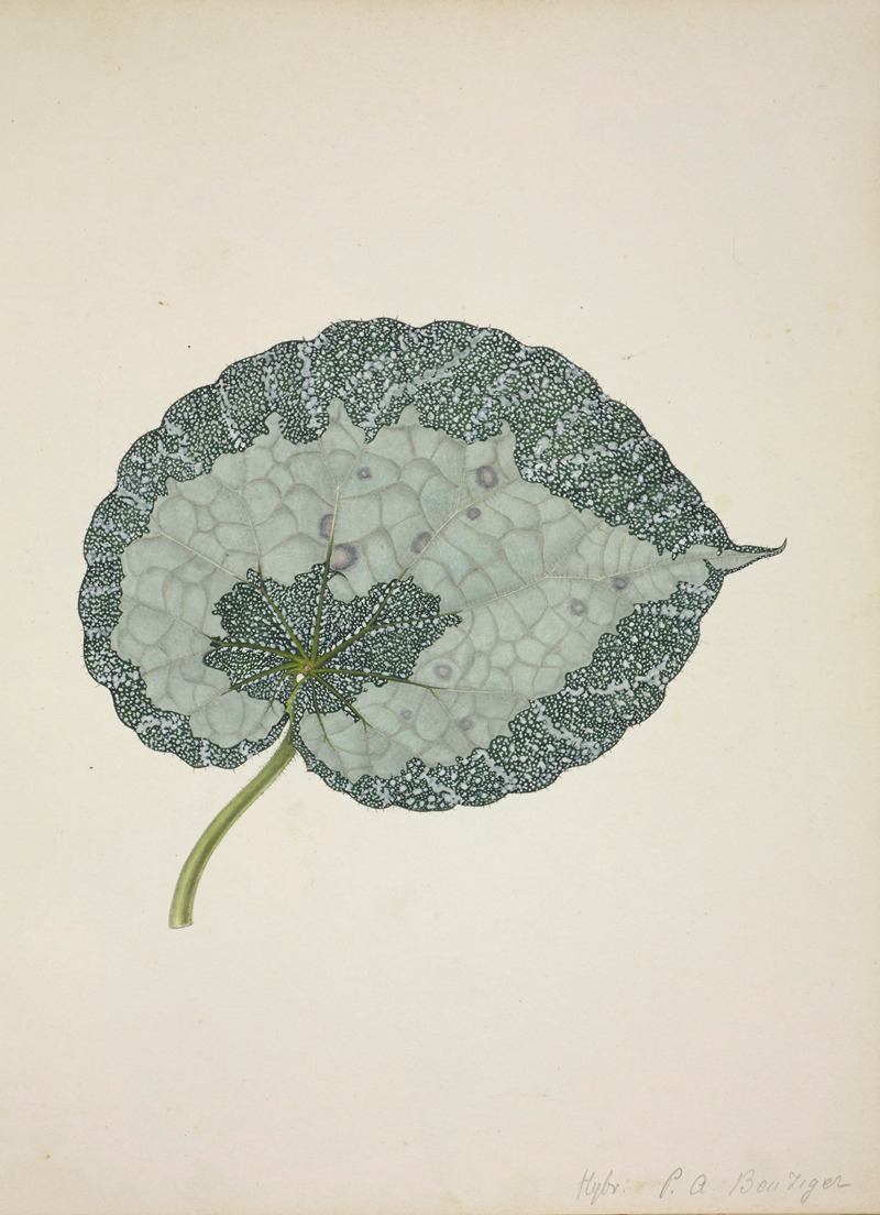 Mon Jardin a Ceylan Pl.179 by George De Alwis, 1896 — digital art print download