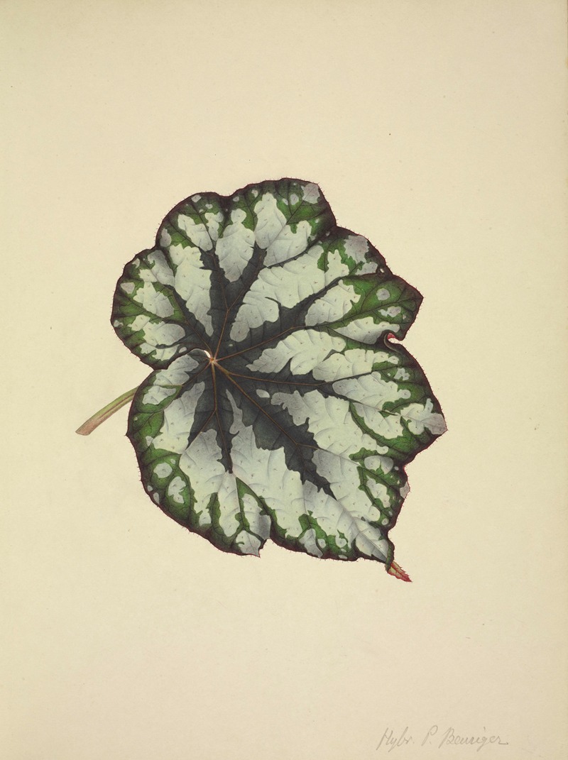 Mon Jardin a Ceylan Pl.182 by George De Alwis, 1896 — digital art print download