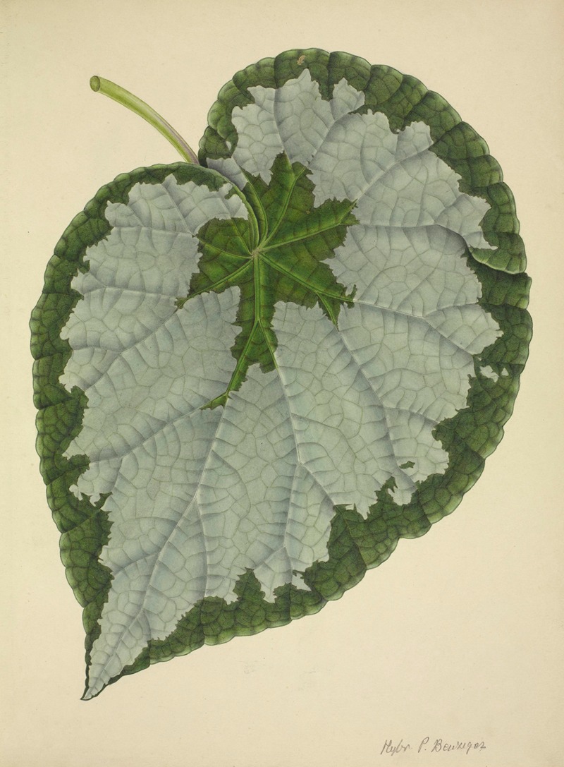 Mon Jardin a Ceylan Pl.186 by George De Alwis, 1896 — digital art print download
