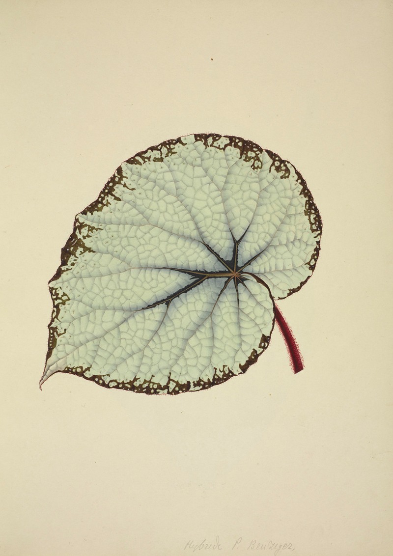 Mon Jardin a Ceylan Pl.195 by George De Alwis, 1896 — digital art print download