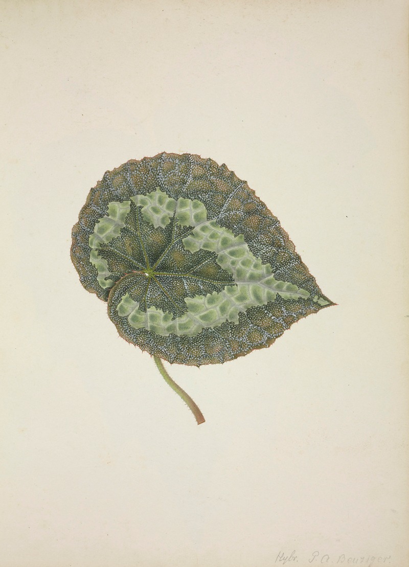 Mon Jardin a Ceylan Pl.197 by George De Alwis, 1896 — digital art print download