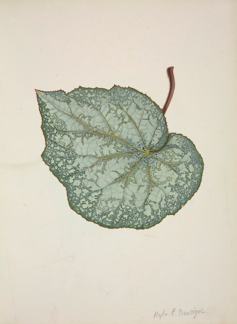 Mon Jardin a Ceylan Pl.202 by George De Alwis, 1896 — digital art print download