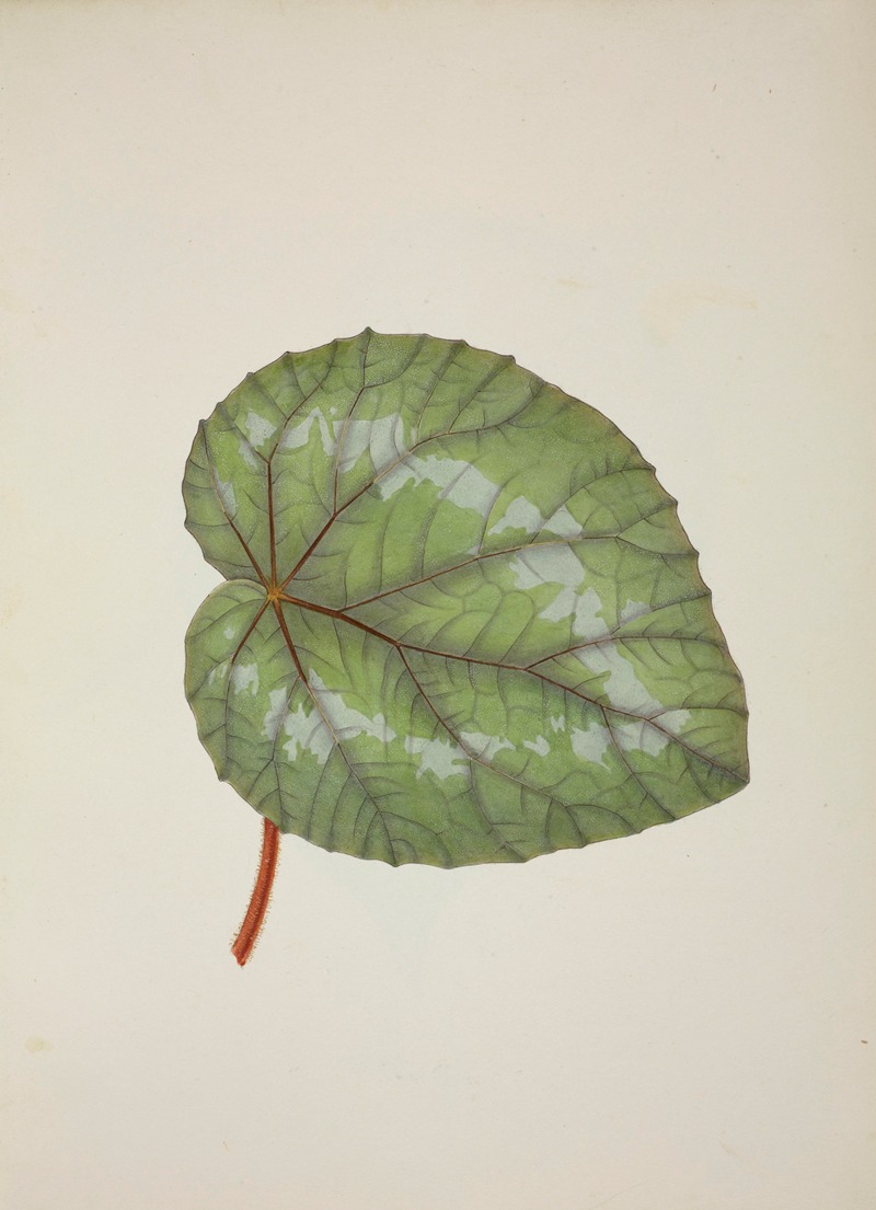 Mon Jardin a Ceylan Pl.230 by George De Alwis, 1896 — digital art print download