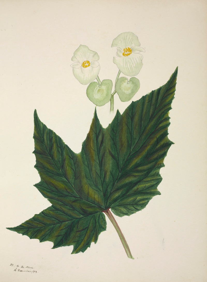 Mon Jardin a Ceylan Pl.267 by George De Alwis, 1896 — digital art print download