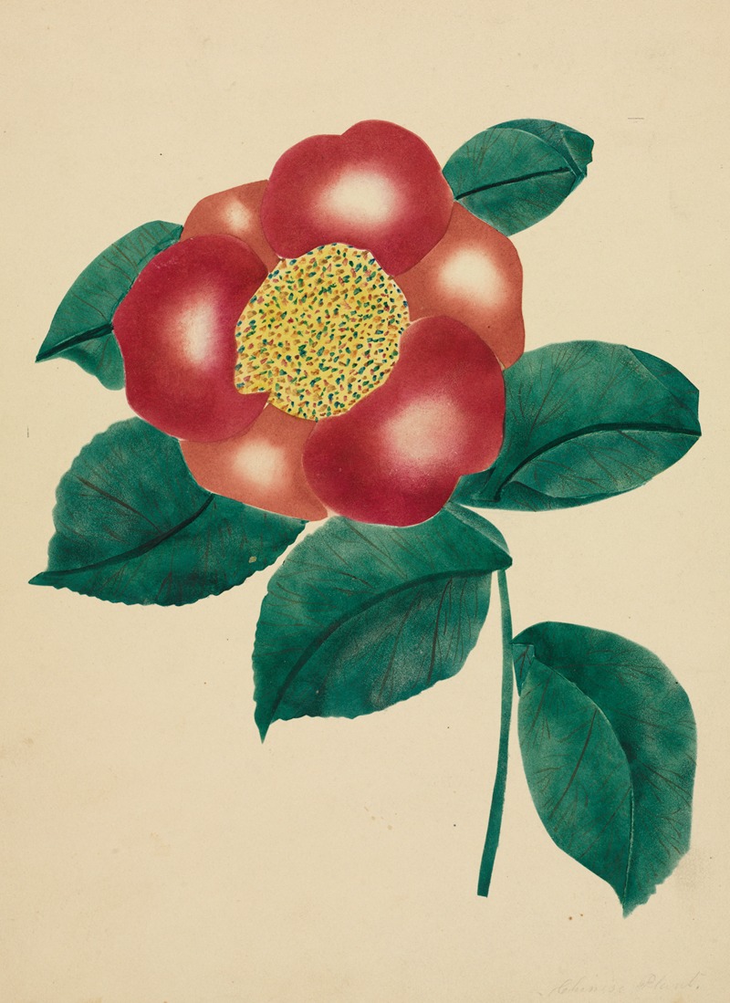 Chinese Flower by Мэри Алта Нимс — digital art print download