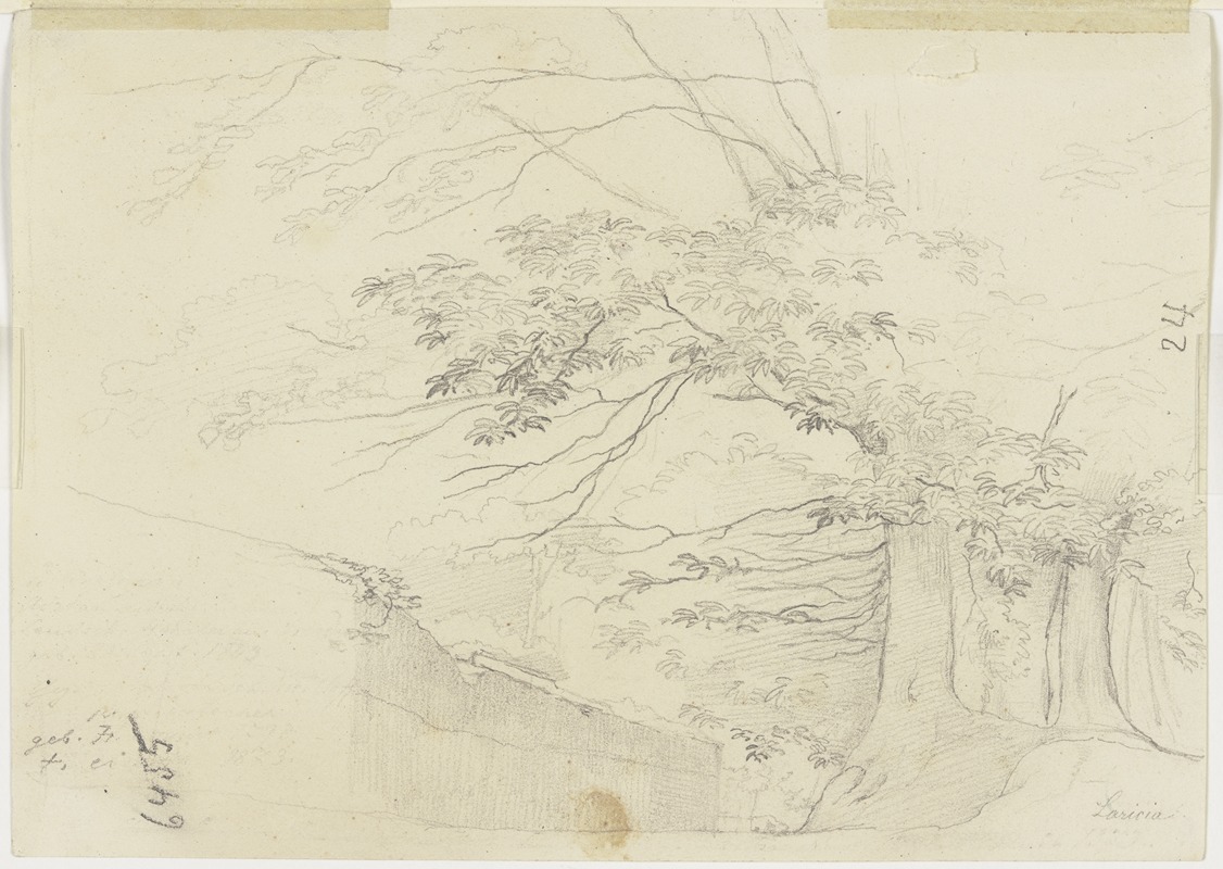 Baumbestandener Weg entlang einer Mauer by Nikolaus Hoff, 1824 — digital art print download
