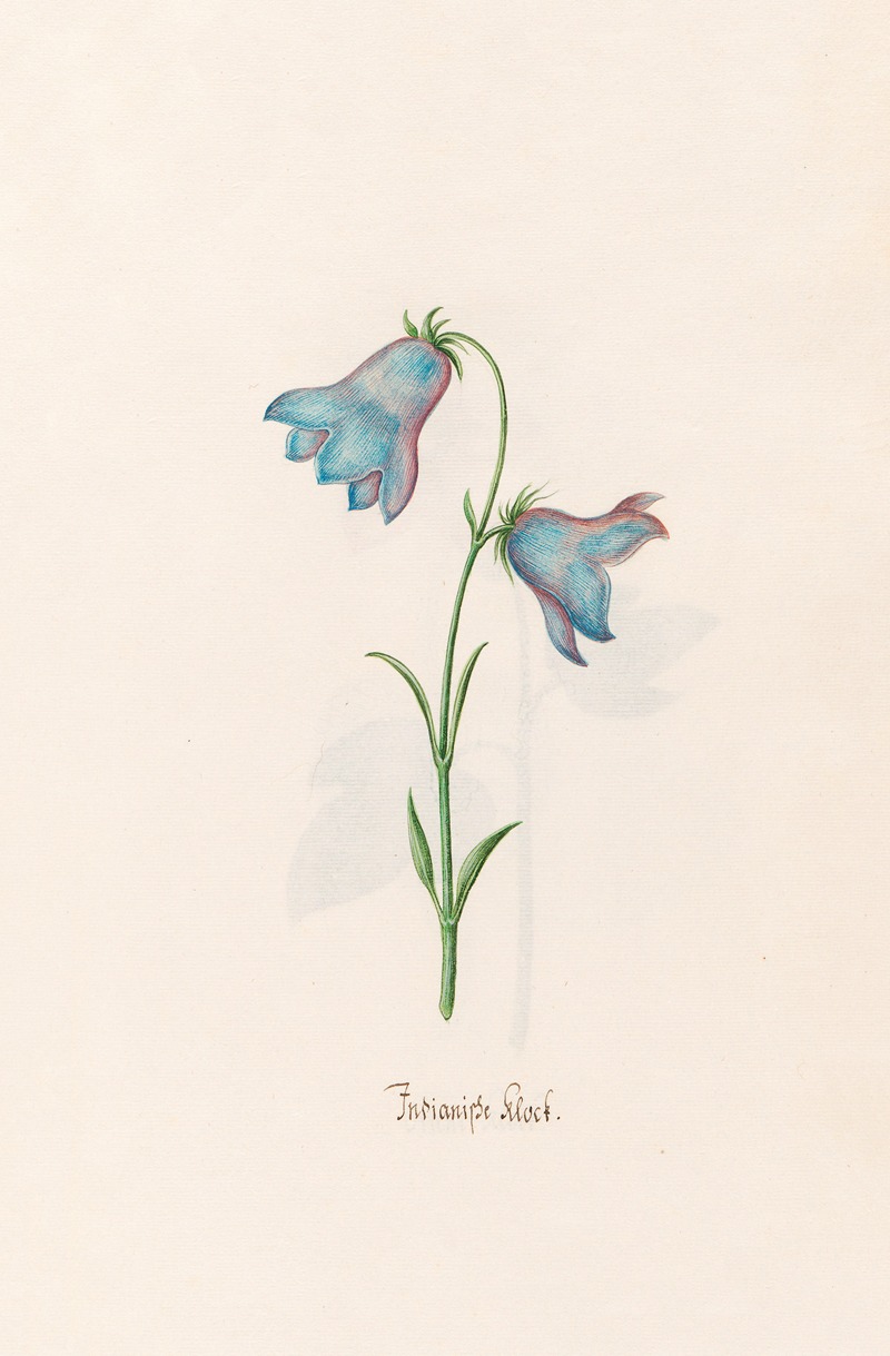 Indianishe klock by Magdelena Rosina Funck, 1692 — digital art print download