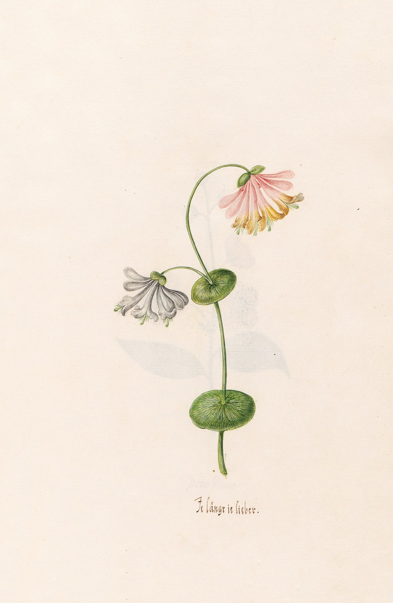 Je längrie lieber by Magdelena Rosina Funck, 1692 — digital art print download