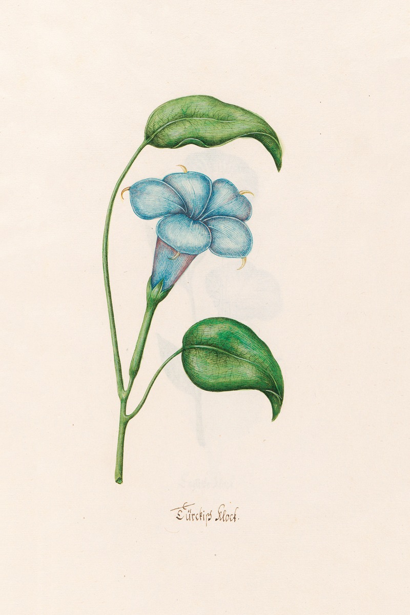 Türckish klock by Magdelena Rosina Funck, 1692 — digital art print download