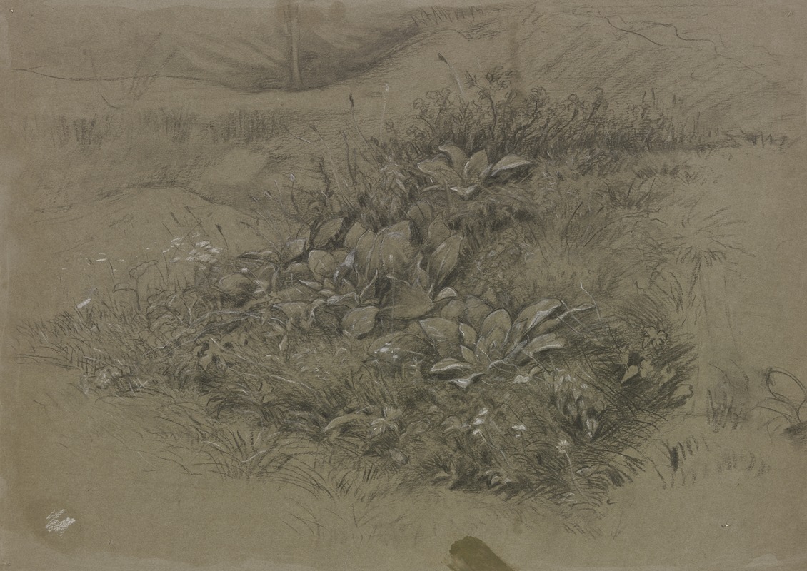 Pflanzenstudie in Wiesenlandschaft by Отто Шольдерер — digital art print download