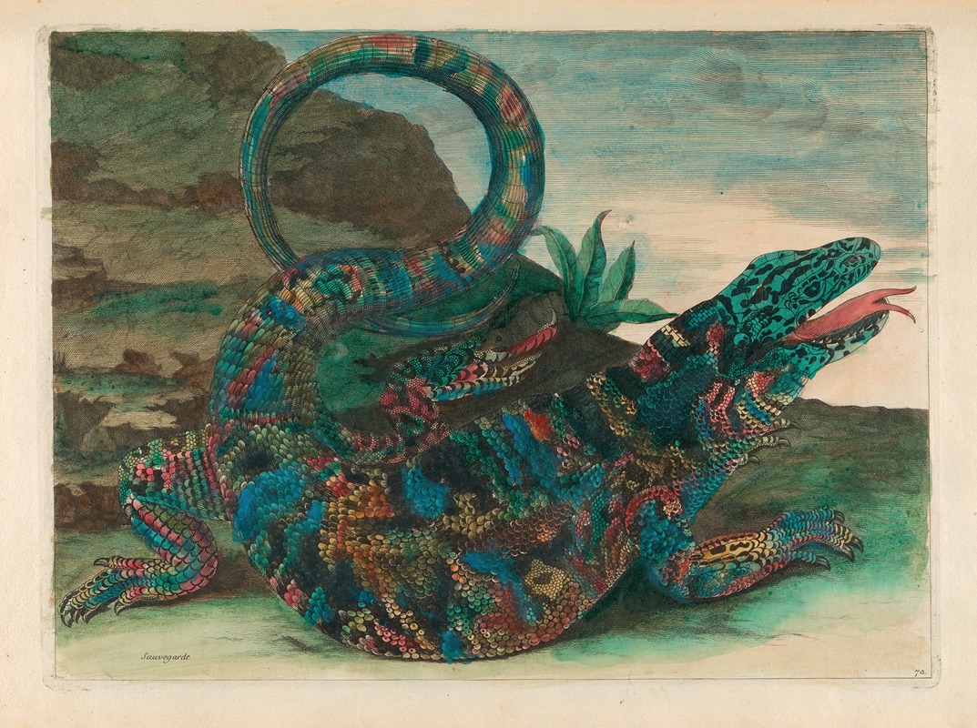 Sauvegarde by Maria Sibylla Merian, 1719 — digital art print download